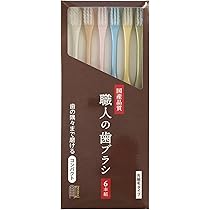 Amazon | 磨きやすい歯ブラシ 極 ふつう 先細毛 6本セット LT-53